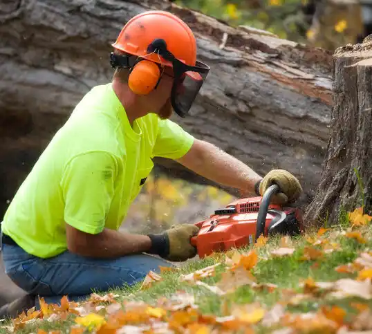 tree services Lafayette